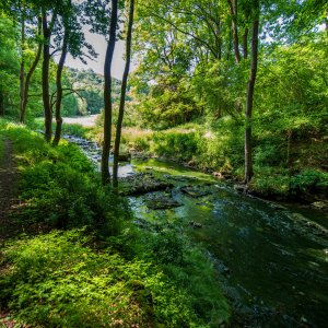 Wildbad Rothenburg_3